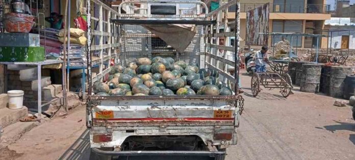 ಕಲ್ಲಂಗಡಿ ಬೆಳೆದ ರೈತರು ಕಾಂಗಾಲು