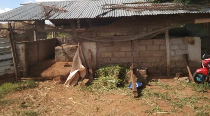 ಜಾನುವಾರುಗಳ ಕಳ್ಳತನ