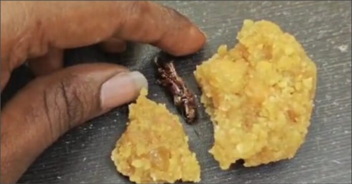 ಜಿರಳೆ ಪತ್ತೆ