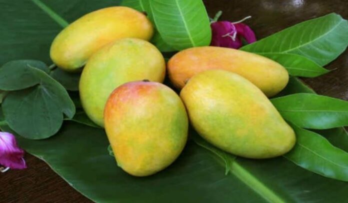 ತೋತಾಪುರಿ