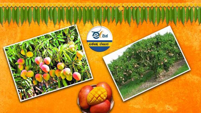 ರಾಷ್ಟ್ರೀಯ ಮಾವು ದಿನ