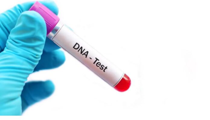 ಡಿಎನ್ಎ ಪರೀಕ್ಷೆ