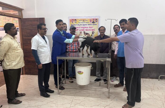 ಧಾರವಾಡ | ಲಸಿಕೆ ತೆಗೆದುಕೊಳ್ಳುವ ಮೂಲಕ ರೇಬಿಸ್ ರೋಗ ತಡೆಯಬಹುದು: ಡಾ.ಎಸ್.ಎಮ್. ಹೊನಕೇರಿ