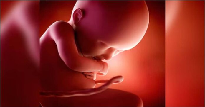 ಭ್ರೂಣ ಲಿಂಗ ಪತ್ತೆ