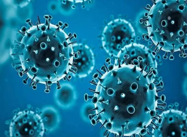 ಎಚ್&zwnj;ಎಂಪಿವಿ