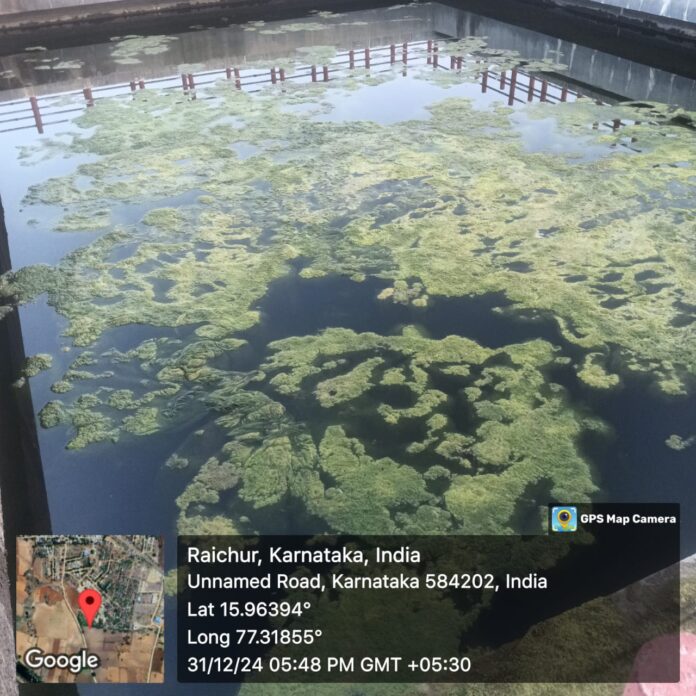 ಬಿಚ್ಚಾಲಿ ಗ್ರಾಮದ ನೀರಿನ ಟ್ಯಾಂಕ್&zwnj;ನಲ್ಲಿ ನಾಯಿ ಶವ ಪತ್ತೆ