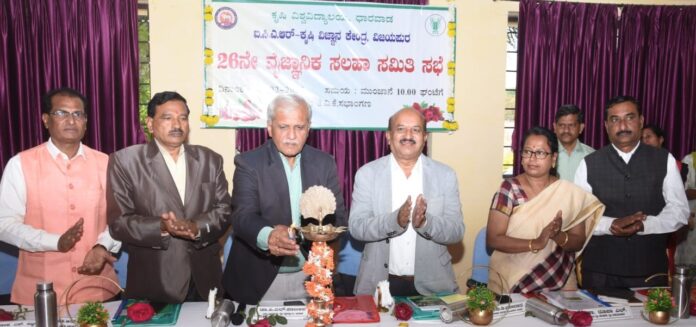 ಕೃಷಿ ವಿ ವಿ ವಿಜಯಪುರ