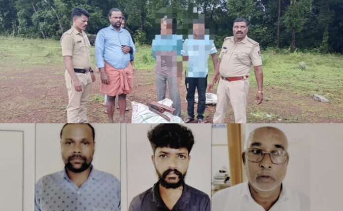 ಉಡುಪಿ | 4 ಲಕ್ಷ ಮೌಲ್ಯದ ಶ್ರೀಗಂಧದ ಮರ ಕಳ್ಳತನ, ಆರೋಪಿಗಳ ಬಂಧನ