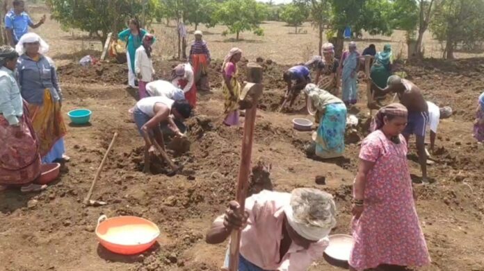 ಮನರೇಗಾ ಯೋಜನೆ ಅಡಿಯಲ್ಲಿ ಕೆಲಸ ಮಾಡುವ ಗ್ರಾಮೀಣ ಕೂಲಿ ಕಾರ್ಮಿಕರಿಗೆ ಕೆಲಸ ಕೊಡದೆ ಕಳೆದ ಮೂರು ತಿಂಗಳಿನಿಂದ ಸತಾಯಿಸಿದ ಘಟನೆ ಧಾರವಾಡ ಜಿಲ್ಲೆ ಕುಂದಗೋಳ ತಾಲೂಕಿನ ಮತ್ತಗಟ್ಟಿ ಗ್ರಾಪಂ ವ್ಯಾಪ್ತಿಯಲ್ಲಿ ನಡೆದಿದೆ. ತದನಂತರ ಗ್ರಾಕೂಸ್ ಸಂಘಟನೆಯ ನಿರಂತರ ಹೋರಾಟಕ್ಕೆ ಮಣಿದ ಇದೀಗ ಕಾರ್ಮಿಕರಿಗೆ ಕೆಲಸ ಕೊಟ್ಟಿದ್ದು, ಕಾರ್ಮಿಕರು ಸಂತಸಪಟ್ಟಿದ್ದಾರೆ.
