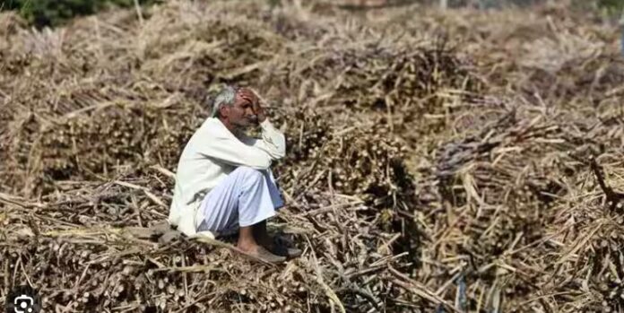 ರೈತರ ಆತ್ಮಹತ್ಯೆ