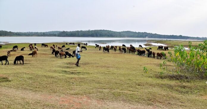 ಬೆಂಗಳೂರು