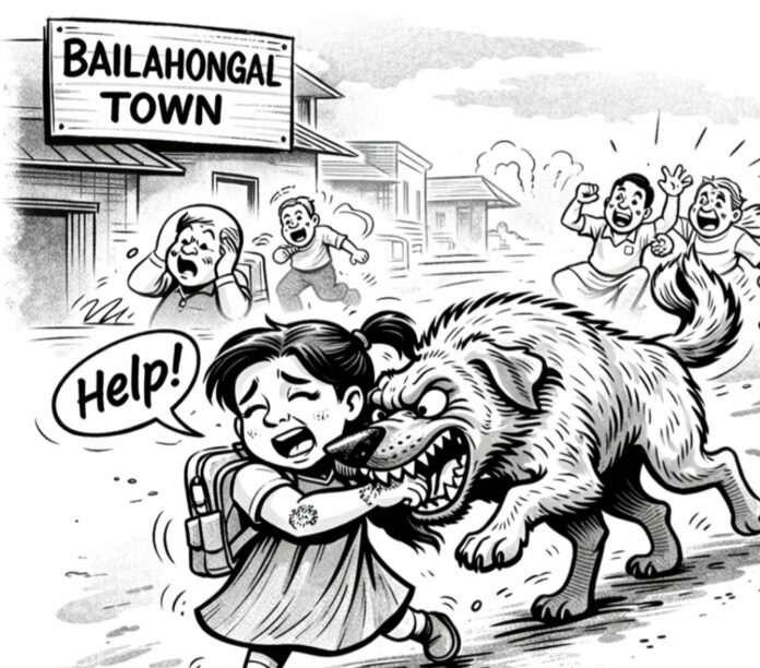 ಬೆಳಗಾವಿ | ಒಂದೇ ದಿನ ಏಳು ಜನರಿಗೆ ಕಚ್ಟಿದ ಬೀದಿ ನಾಯಿ : ಗಾಯಾಳುಗಳು ಆಸ್ಪತ್ರೆಗೆ