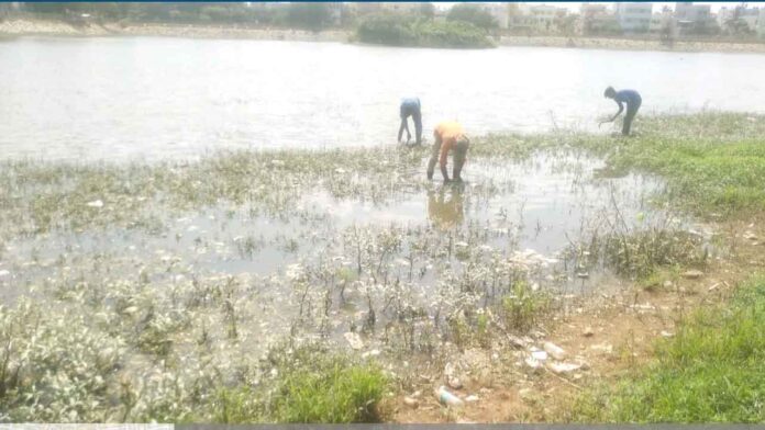 ಚುಂಚಘಟ್ಟ ಕೆರೆ