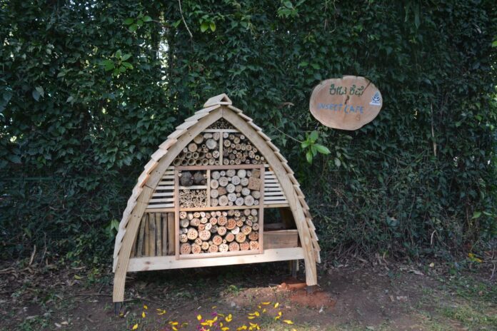 ಕೀಟ ಕೆಫೆ