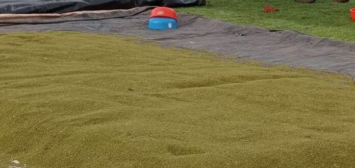 ಹೆಸರು ಕಾಳು ಖರೀದಿ ಕೇಂದ್ರ