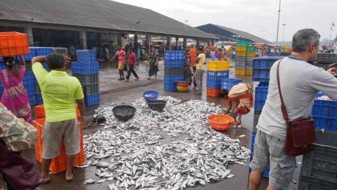 ಉಡುಪಿ | ಮಲ್ಪೆ ಮೀನುಗಾರಿಕೆ ಬಂದರು ಆಧುನೀಕರಣ, ಜಿಲ್ಲೆಯ ಆರ್ಥಿಕ ಪುನರುಜ್ಜೀವನಕ್ಕೆ ಹೊಸ ರೂಪ