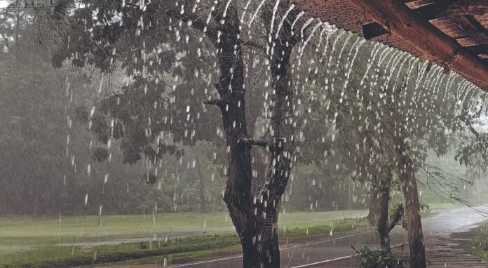 ಕರ್ನಾಟಕ, ಜಿಲ್ಲೆಗಳು, ಮಳೆ, ಹವಾಮಾನ ಇಲಾಖೆ, ಹವಾಮಾನ, Karnataka, districts, rain, meteorological department, weather,