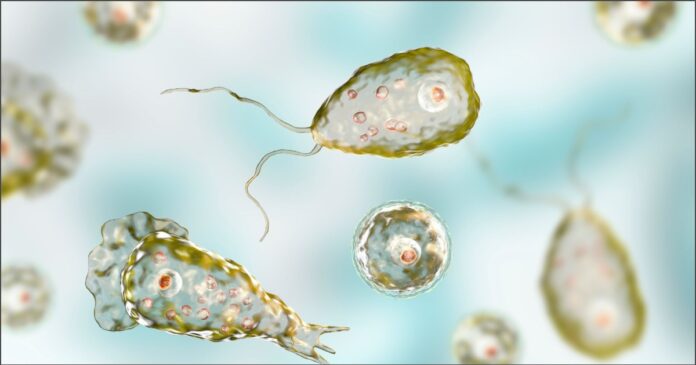 ಅಮೀಬಾ ಸೋಂಕು