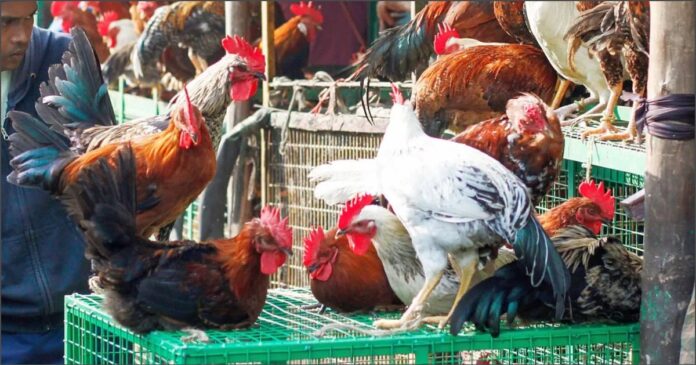 ಮಾಂಸ ನಿಷೇಧ