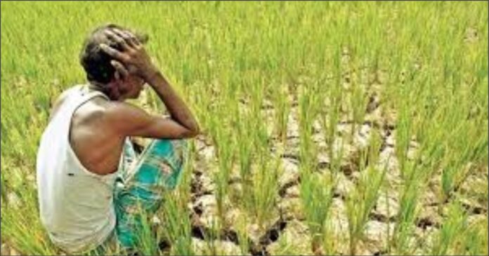 ಬಿಜೆಪಿ ನಾಯಕ