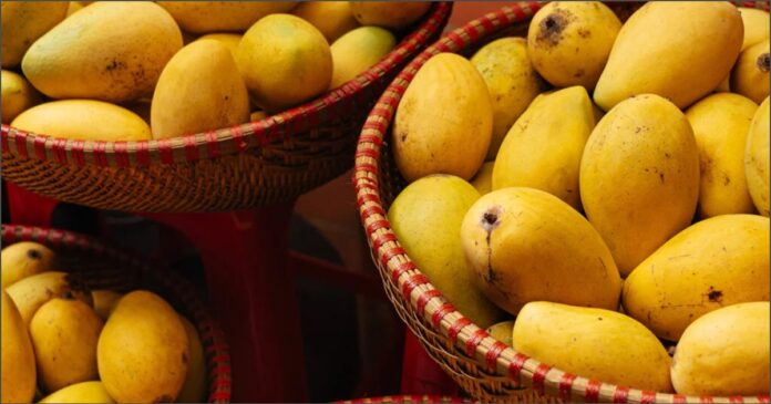 ಗುಜರಾತ್&zwnj;