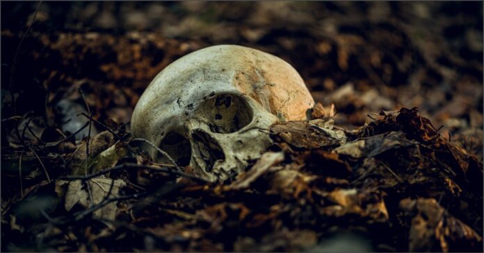 ಧರ್ಮಸ್ಥಳ